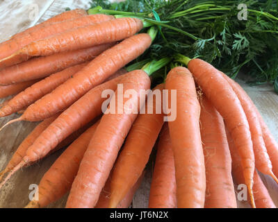 Carote, appena scavato ancora con le cime, carota verdi. Foto Stock