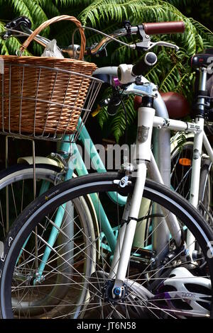 Due biciclette retrò appoggiato alcuni vegetazione. Foto Stock