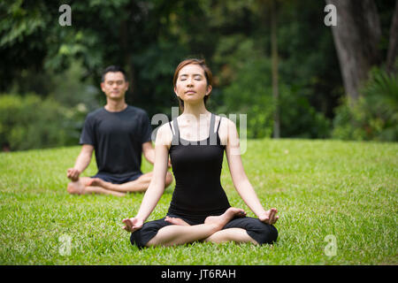 Asian l uomo e la donna facendo Tai Chi in un giardino. Uno stile di vita sano e concetto di rilassamento. Foto Stock