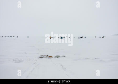 Miguasha, Canada - 16 febbraio 2017. Puzzava di ghiaccio baracca di pesca durante il congelamento e ventoso giorno di inverno in Quebec Foto Stock