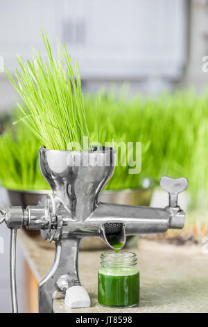 Estrazione di Wheatgrass in azione sul bancone della cucina utilizzando un metallo centrifuga manuale Foto Stock