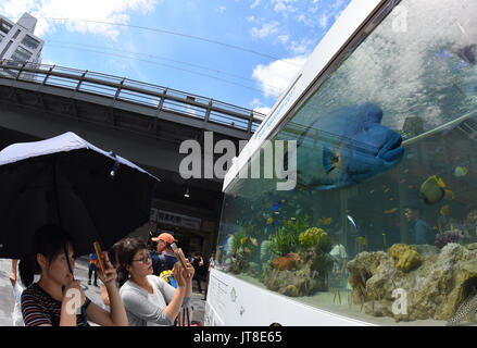 Tokyo, Giappone. 8 Ago, 2017. Un 1.2-metro lungo Humphead wrasse, noto anche come il Napoleone pesce nuota tranquillamente in un enorme acquario impostato nella parte anteriore di Yurakucho della stazione ferroviaria di Tokyo il Martedì, Agosto 8, 2017. I cinque metri di larghezza vetrine del serbatoio 1000 pesci tropicali di circa 25 specie da laccati. southernmost Prefettura di Okinawa. L'intrattenimento stagionale spostata nella sua nuova posizione dal suo solito Sony Building di Ginza, il quale è attualmente chiuso per piani di valorizzazione. Credito: Natsuki Sakai/AFLO/Alamy Live News Foto Stock