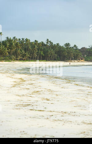 Spiaggia tropicale di prima mattina con le palme e la persona che cammina sulla spiaggia in background, Diani, Kenya Foto Stock