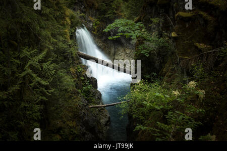 Cascata in Little Qualicum Falls Provincial Park, Canada Columbia Britannica Foto Stock