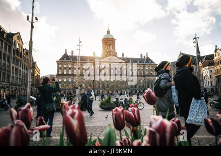 Amsterdam, Paesi Bassi - 25 April, 2017: Palazzo Reale e la Piazza Dam sullo sfondo del giovane di turista in rastaman cappelli e tulipani in serata. Foto Stock
