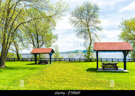 Vuoto coperto di due tavoli da picnic in Quebec, Canada durante l'estate con giallo di tarassaco erbe e fiori Foto Stock