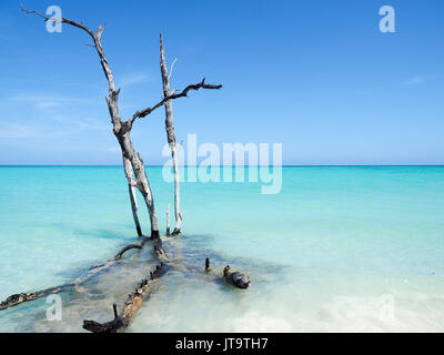 Spiaggia Cayo Jutias A CUBA Foto Stock