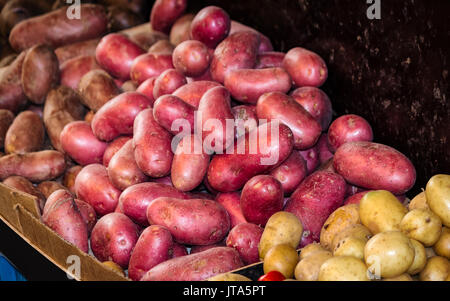 Varietà di patate- dolce e nuove patate al mercato degli agricoltori Foto Stock