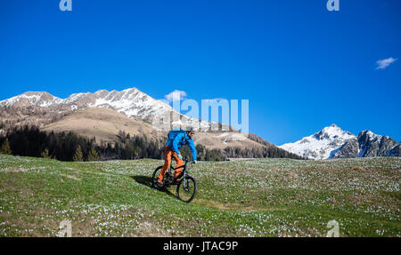 Mountain bike sul verde dei prati coperti da crocus in fiore, Albaredo Valle, Alpi Orobie, Valtellina, Lombardia, Italia, Europa Foto Stock