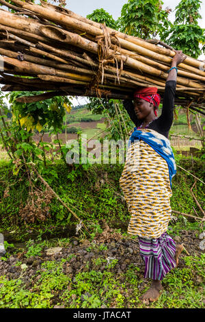 Donna che trasportano legna da ardere sul suo capo, il Parco nazionale di Virunga, Repubblica Democratica del Congo, Africa Foto Stock