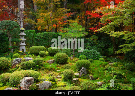 Giardino Zen in autunno, Sanzen-in tempio, Kyoto, Giappone, Asia Foto Stock