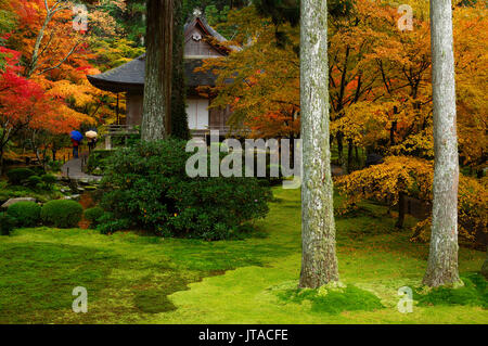 Colori autunnali in Sanzen-in tempio moss garden, valle Ohara, Kyoto, Giappone, Asia Foto Stock