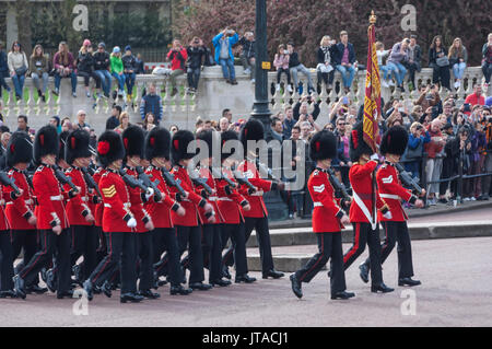 Banda delle guardie di Coldstream con i loro standard, durante il cambio della guardia, Buckingham Palace, London, England, Regno Unito, Europa Foto Stock