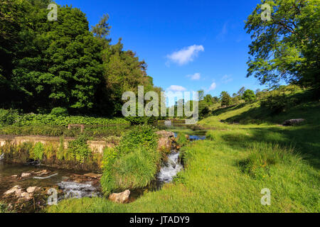 Lathkill Dale, vicino oltre che a Haddon e Youlgreave (Youlgrave), molla, Parco Nazionale di Peak District, Derbyshire, England, Regno Unito, Europa Foto Stock