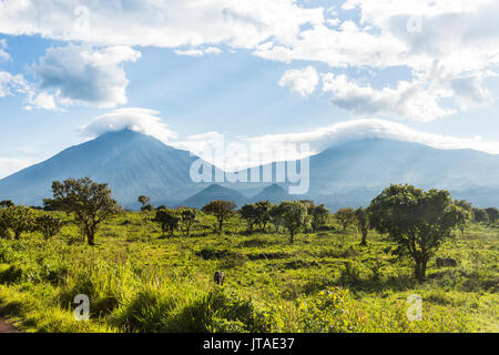 La montagna vulcanica di catena del Parco nazionale di Virunga, Sito Patrimonio Mondiale dell'UNESCO, Repubblica Democratica del Congo, Africa Foto Stock