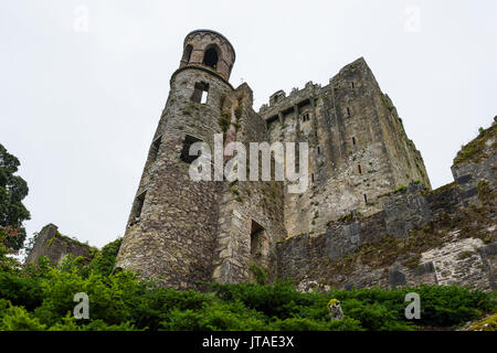 Blarney Castle, Blarney, County Cork, Munster, Repubblica di Irlanda, Europa Foto Stock