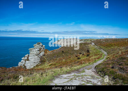 Isola di Lundy, Canale di Bristol, Devon, Inghilterra, Regno Unito, Europa Foto Stock