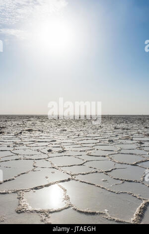 Sale puro in un lago salato, Danakil depressione, Etiopia, Africa Foto Stock