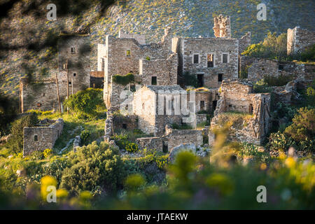 Le antiche torri di Vathia tra wild fiori di primavera sulle mani nella penisola del Peloponneso, della Grecia, Europa Foto Stock