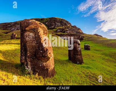 Moais alla cava sul versante del Rano Raraku Vulcano, Parco Nazionale di Rapa Nui, Sito Patrimonio Mondiale dell'UNESCO, l'isola di pasqua, Cile, Sud America Foto Stock
