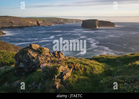 Punto di Castello, Loop di testa, County Clare, Munster, Repubblica di Irlanda, Europa Foto Stock