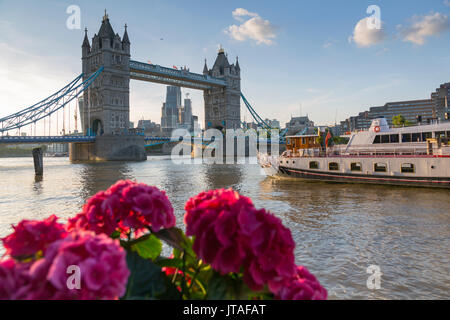 Il Tower Bridge e la City of London skyline da Butler's Wharf, London, England, Regno Unito, Europa Foto Stock