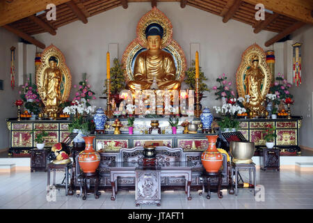 Altare maggiore nel tempio buddista, Thien Minh Pagoda, Sainte-Foy-les-Lione, area del Rodano, Francia, Europa Foto Stock