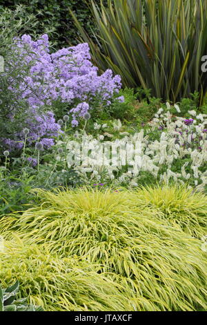 Lilla, il bianco e il verde di piantare in estate confine con il Phlox paniculata 'Prichard la varietà, hebes, echinops e hakonechloa macra "aureola" Foto Stock
