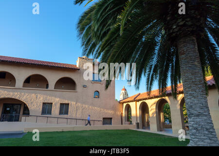 Isole Canarie data palme e le costruzioni architettoniche presso la vecchia Unione complesso nella Stanford University campus, Palo Alto, California. Foto Stock