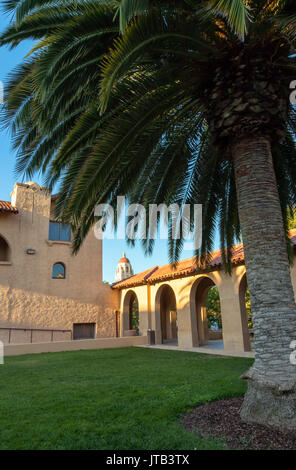 Isole Canarie data palme e le costruzioni architettoniche presso la vecchia Unione complesso nella Stanford University campus, Palo Alto, California. Foto Stock