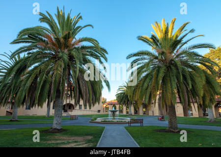 Isole Canarie data palme e la vecchia Unione complessa presso la Stanford University di Palo Alto, California, Stati Uniti d'America Foto Stock