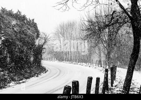 Una curva strada in mezzo alla neve con un albero a lato Foto Stock