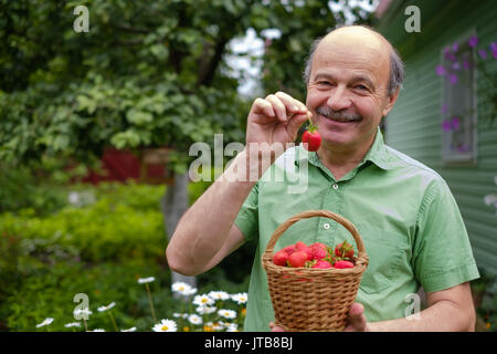 Mature fragola rossa su erba verde Foto Stock