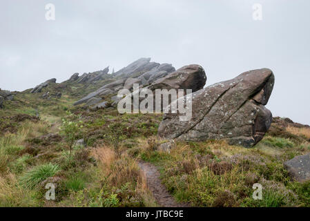 Robusto affioramenti di rocce Ramshaw vicino il roaches nel parco nazionale di Peak District, Staffordshire, Inghilterra. Foto Stock