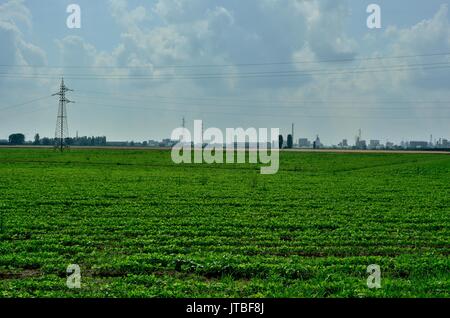 Bella e verde terreno coltivato in primo piano e la fornitura di energia elettrica di torri e alcuni edifici in background, Italia, Europa Foto Stock