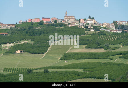 Vigneti sulle colline delle Langhe in Piemonte, Italia settentrionale Foto Stock