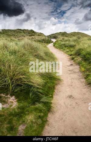 Un percorso attraverso dune ricoperte di erba Marram a Gwithian Towans in Cornovaglia. Foto Stock