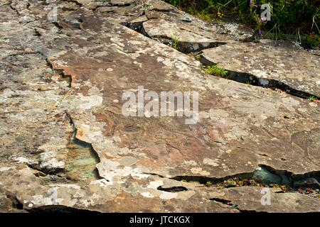 Un pannello di petroglyph con una varietà di umanoide e immagini di animali ritratti Foto Stock