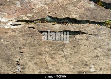 Un pannello di petroglyph con una varietà di umanoide e immagini di animali ritratti Foto Stock