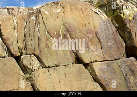 Un pannello di petroglyph con una varietà di umanoide e immagini di animali ritratti Foto Stock