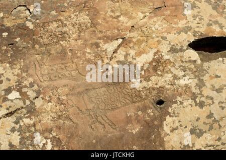 Un pannello di petroglyph con una varietà di umanoide e immagini di animali ritratti Foto Stock