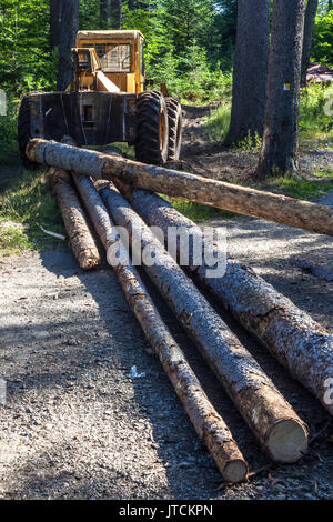 Macchina forestale tirando sconfitto alberi, Montagne Sumava, Repubblica Ceca foresta di raccolta Foto Stock