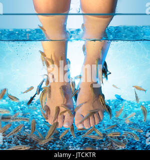 Pesce Spa - Pedicure con Garra Rufa Foto Stock