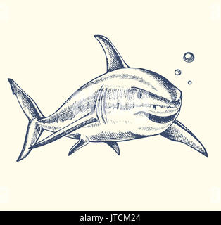 Disegnata a mano toothy shark nuoto in acqua Foto Stock