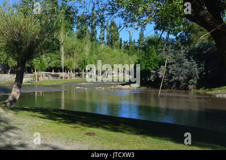 Mighty Himalaya India Foto Stock