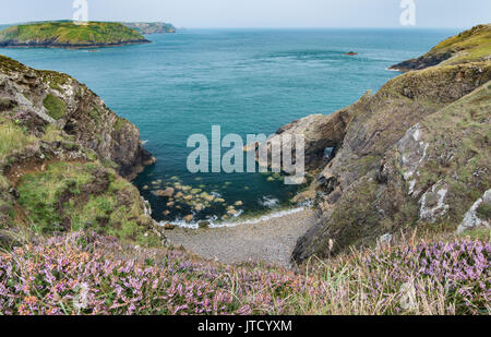 Vista verso jack audio e arco naturale vicino a Martins Haven e Marloes sulla spiaggia Il Pembrokeshire Coast. Il Galles, Regno Unito. Foto Stock