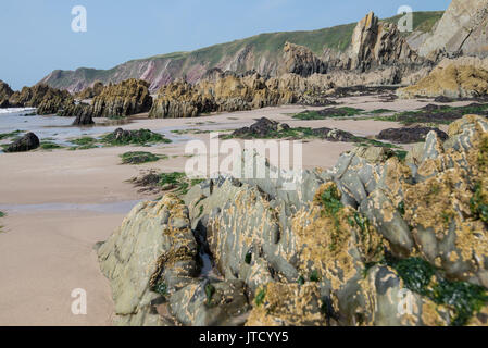 Spiaggia di scena a Marloes Sands, Pembrokeshire, Wales, Regno Unito. Foto Stock