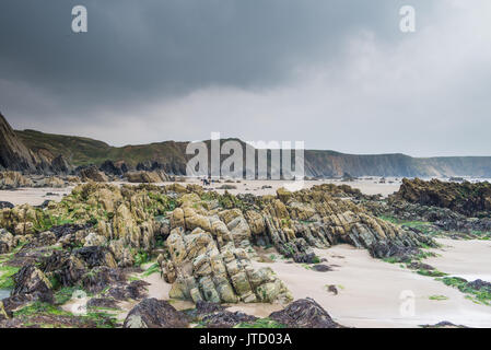 Spiaggia di scena a Marloes Sands, Pembrokeshire, Wales, Regno Unito. Foto Stock