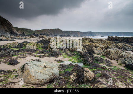 Spiaggia di scena a Marloes Sands, Pembrokeshire, Wales, Regno Unito. Foto Stock