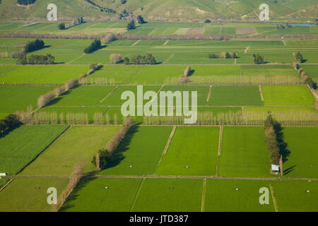 Terreni agricoli, Taieri dolori, Dunedin, South Island, in Nuova Zelanda - aerial Foto Stock